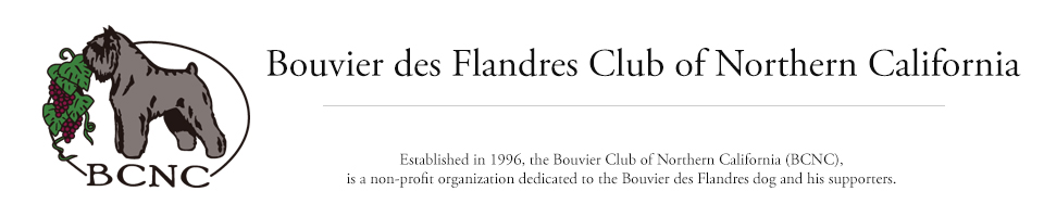 Bouvier des Flandres Club of Northern California